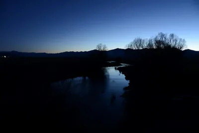 DSC_1099 (Large).JPG